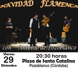 Navidad Flamenca con "Antonio de Pozoblanco" @ PLAZA DE SANTA CATALINA